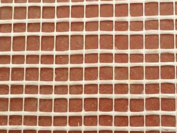 �����w�S�W��